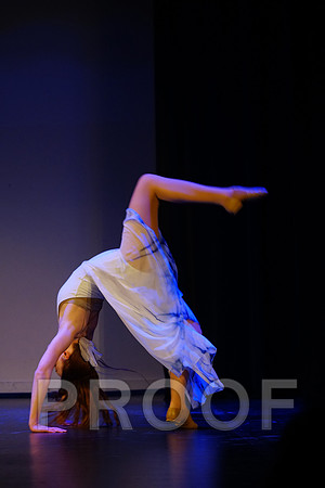 _DSC00053
