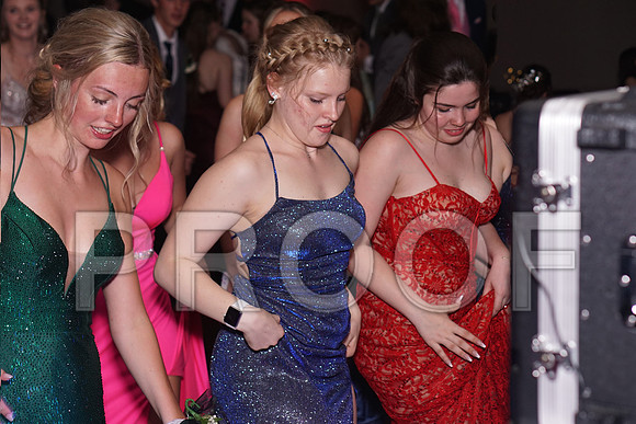 _DSC00339 copy