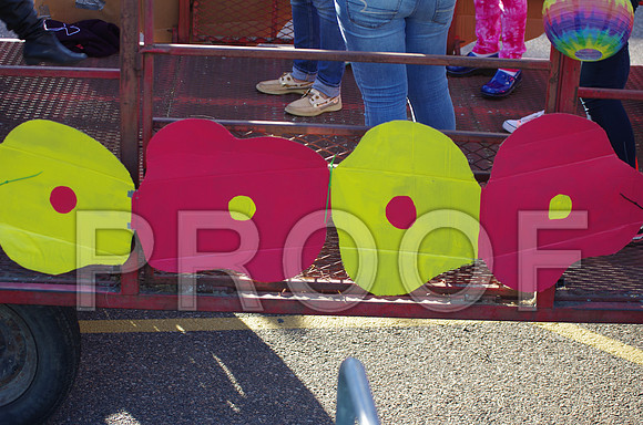 IMGP4636