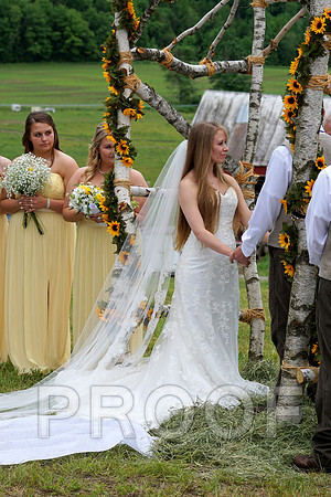 DSC07344