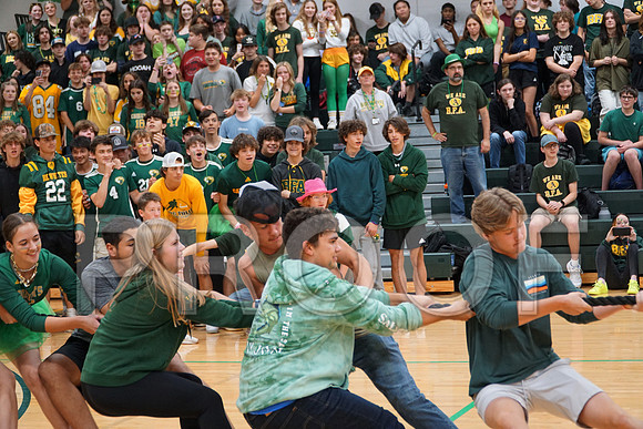 _DSC00209